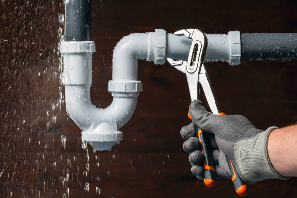 Professional Plumbing technician working in Amana, IA